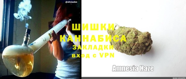 эйфоретик Вяземский