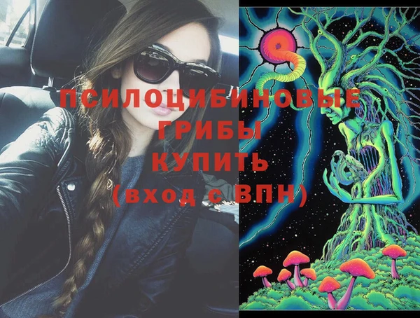 эйфоретик Вяземский