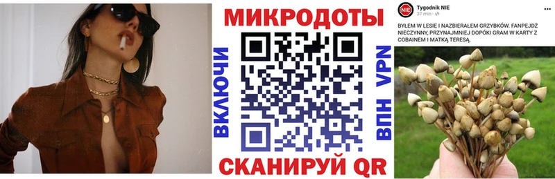Купить закладки  Кулебаки  Псилоцибиновые грибы мухоморы 